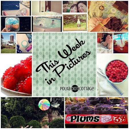 This Week in Pictures, Week 29, 2014