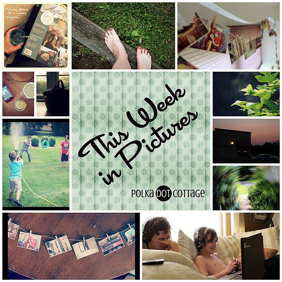 This Week in Pictures, at Polka Dot Cottage