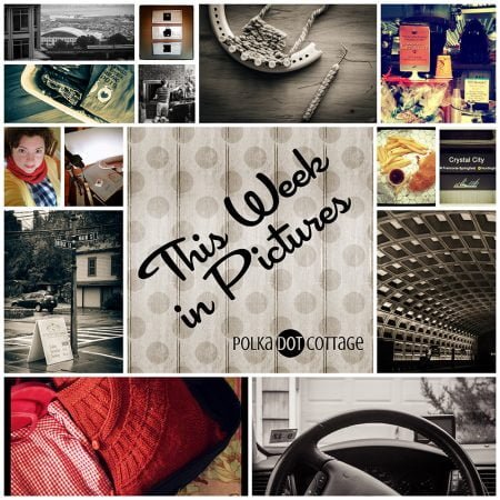 This Week in Pictures, Week 45, 2014