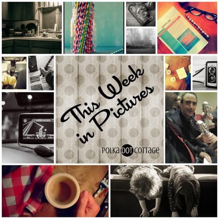 This Week in Pictures, Week 46, 2014