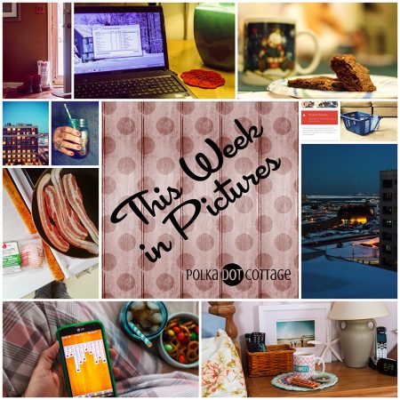 This Week in Pictures, Week 7, 2015