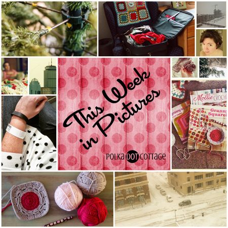 This Week in Pictures, Week 8, 2015