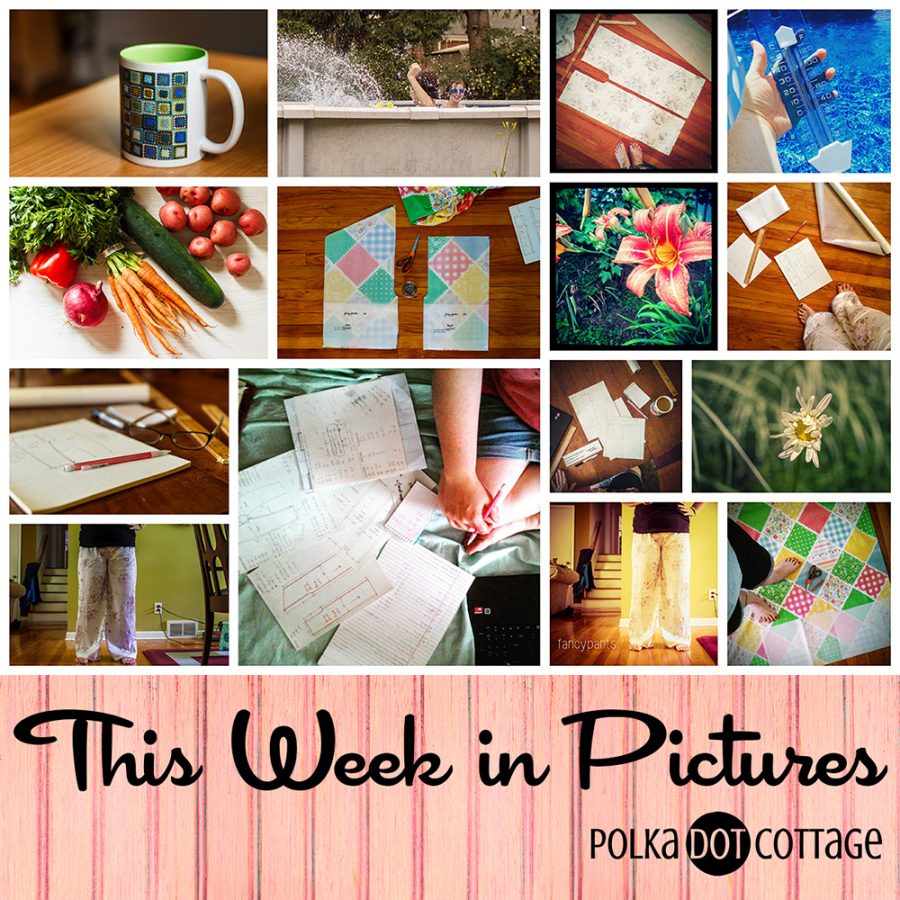This Week in Pictures, Week 25, 2015