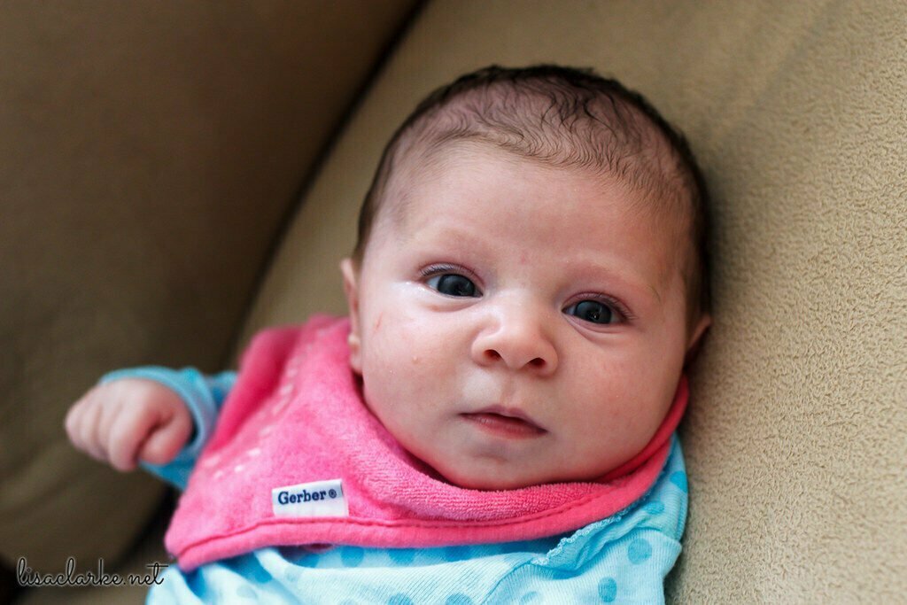 18909674014_b2d036b50c_b-flickr