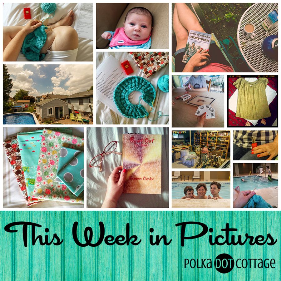 This Week in Pictures, Week 28, 2015