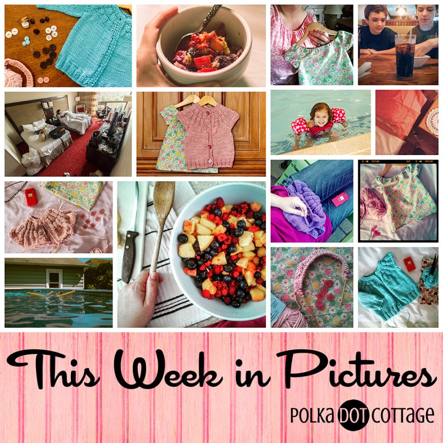 This Week in Pictures, Week 29, 2015