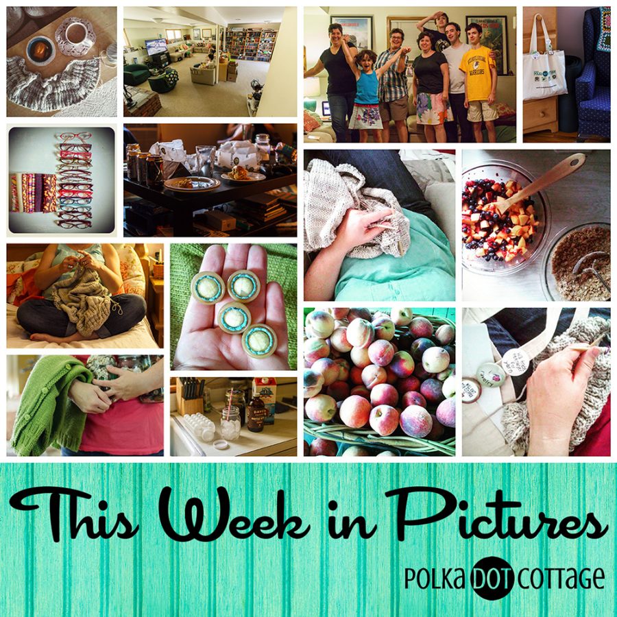 This Week in Pictures, Week 32, 2015