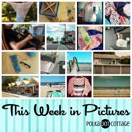 This Week in Pictures, Week 33, 2015