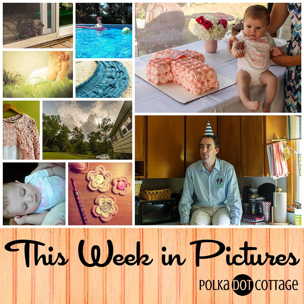 A weekly roundup of the images I took for my daily Project 365, as well as the slice-of-life things I posted on Instagram.