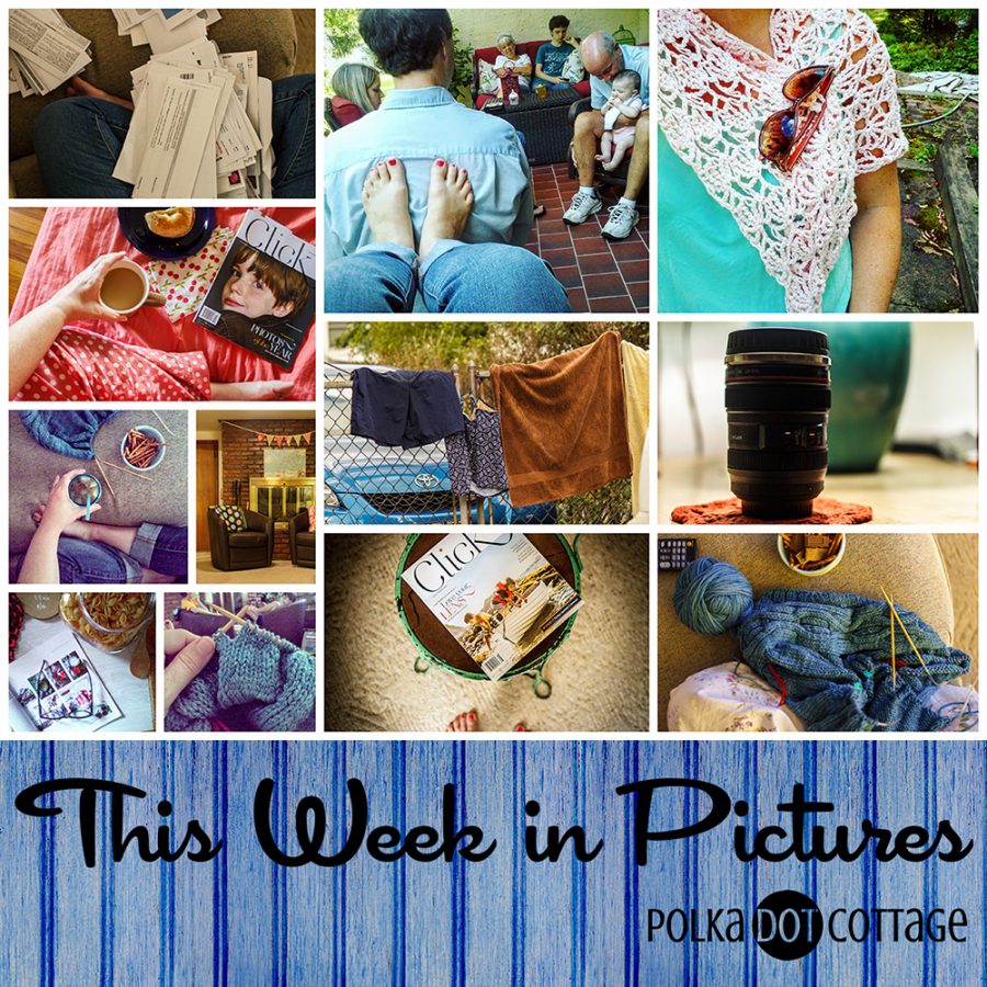 This Week in Pictures, Week 35, 2015
