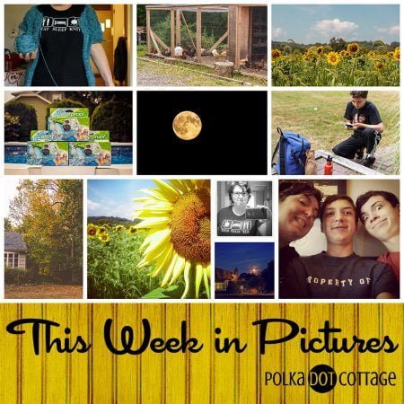 This Week in Pictures, Week 36, 2015