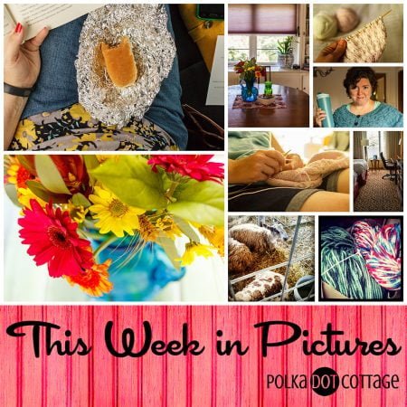 This Week in Pictures, Week 38, 2015