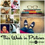 This Week in Pictures, Week 40, 2015