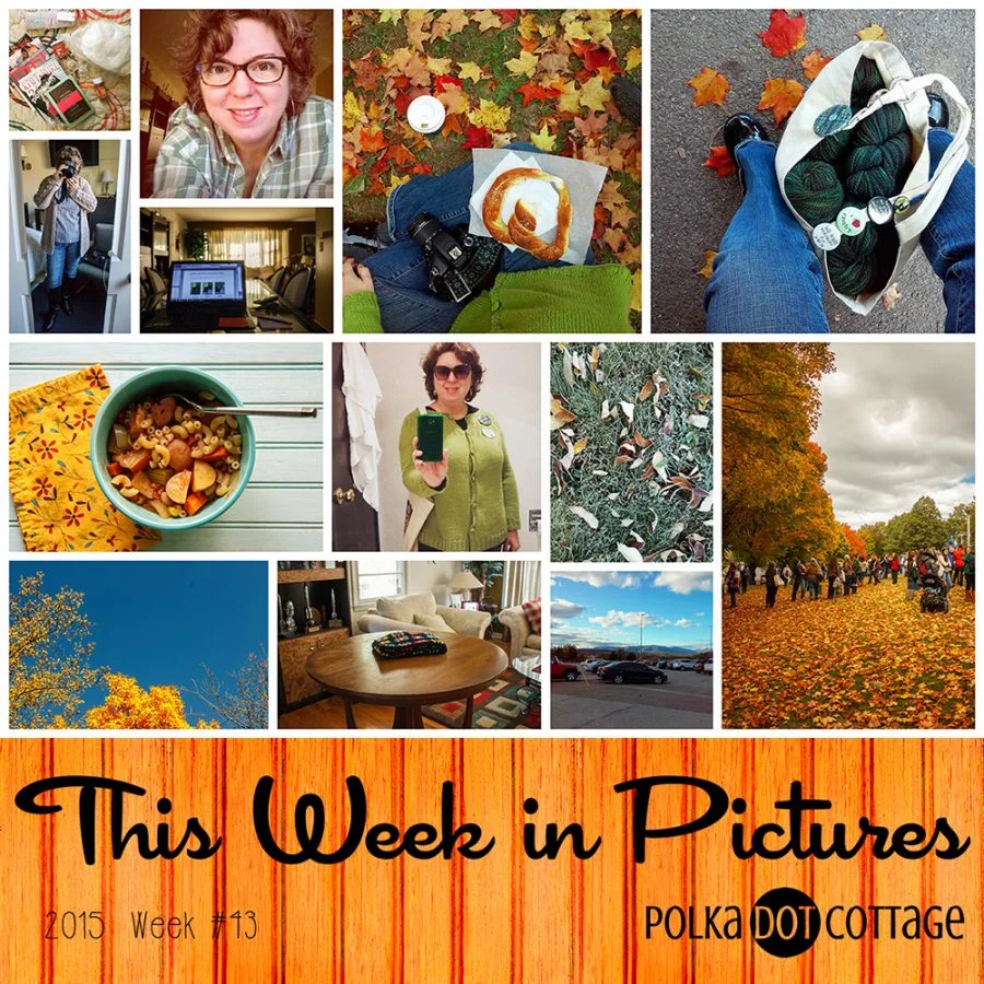 This Week in Pictures, Week 43, 2015