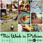 This Week in Pictures, Week 45, 2015