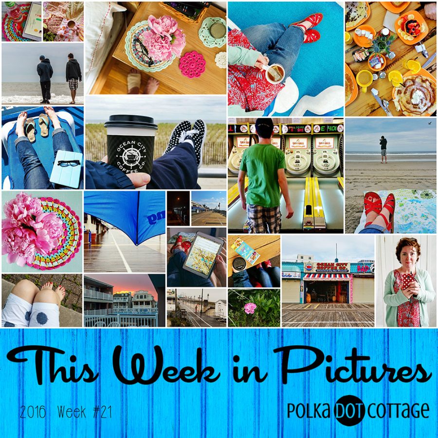 This Week in Pictures, Week 21, 2016