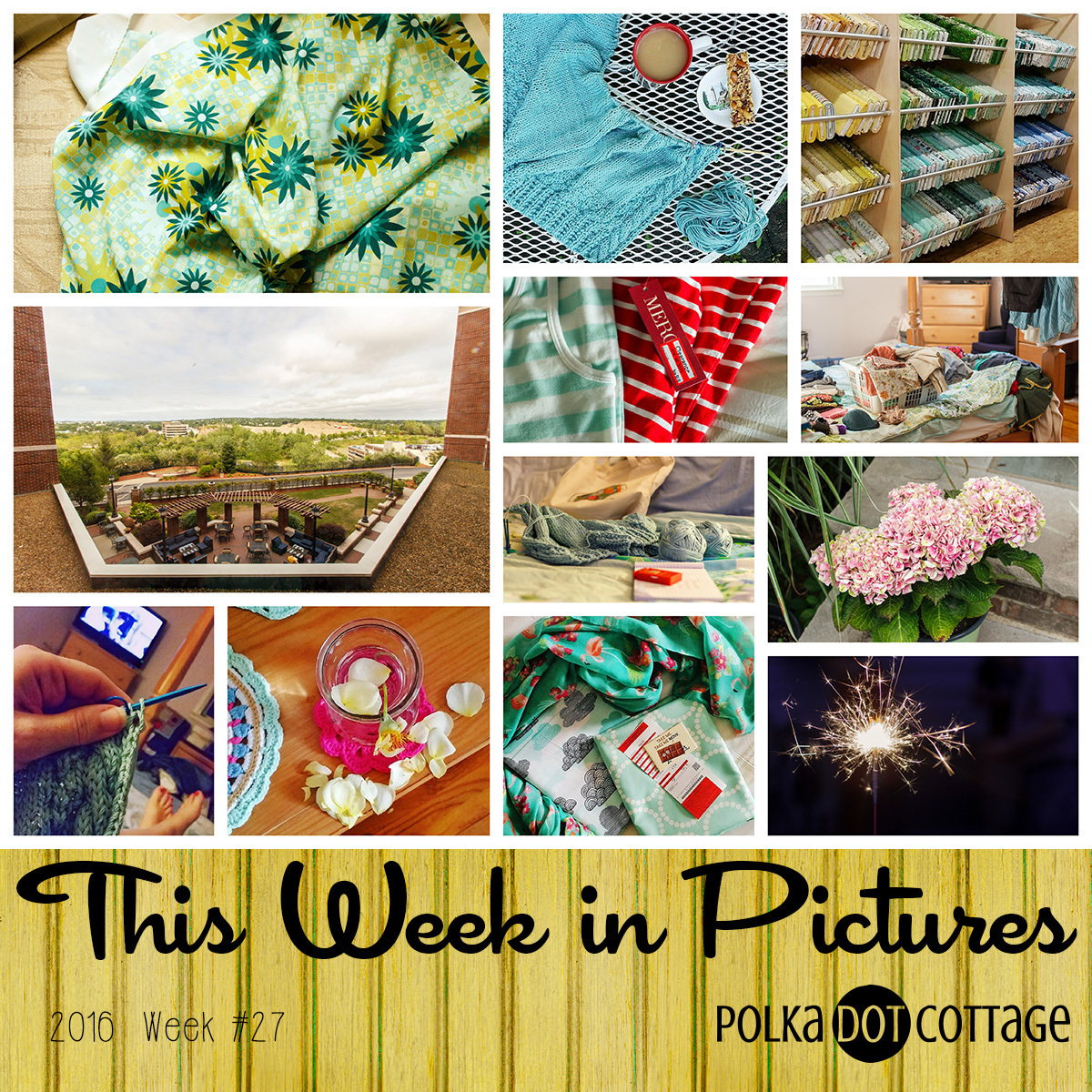This Week in Pictures (TWiP) at Polka Dot Cottage