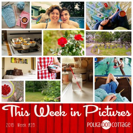 This Week in Pictures, Week 28, 2016