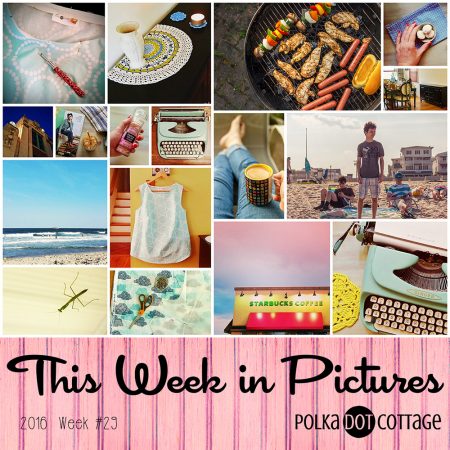This Week in Pictures, Week 29, 2016