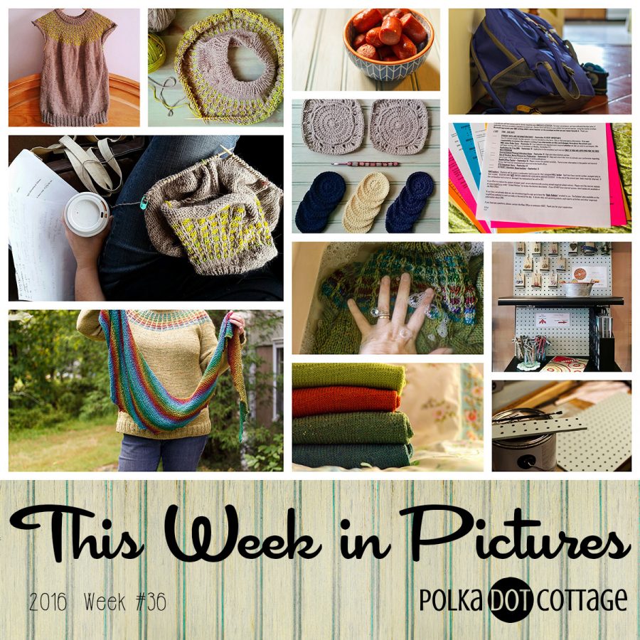 This Week in Pictures, Week 36, 2016