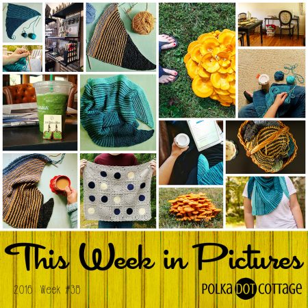 This Week in Pictures, Week 38, 2016