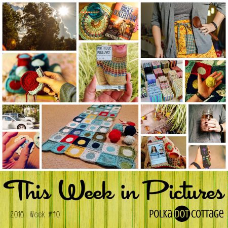 This Week in Pictures, Week 40, 2016