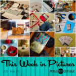This Week in Pictures, Week 41, 2016