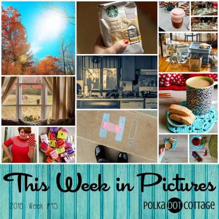 This Week in Pictures, Week 45, 2016