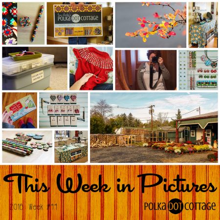 This Week in Pictures, Week 44, 2016