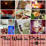 This Week in Pictures, Week 51, 2016