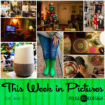 This Week in Pictures, Week 52, 2016
