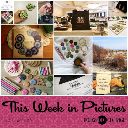 This Week in Pictures, Week 8, 2017