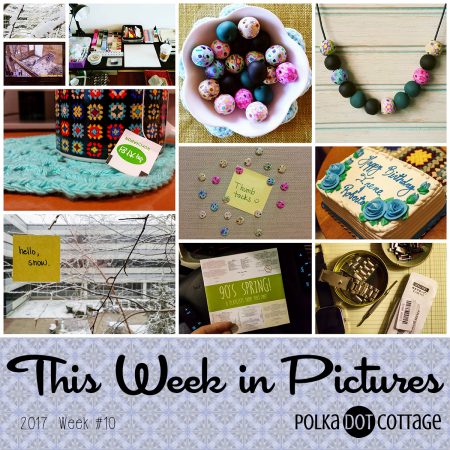 This Week in Pictures: Week 10, 2017