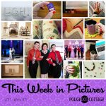 This Week in Pictures, Week 11, 2017