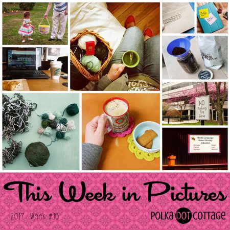 This Week in Pictures, Week 16, 2017