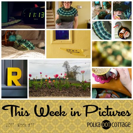 This Week in Pictures, Week 17, 2017