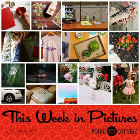 This Week in Pictures, Week 23, 2017