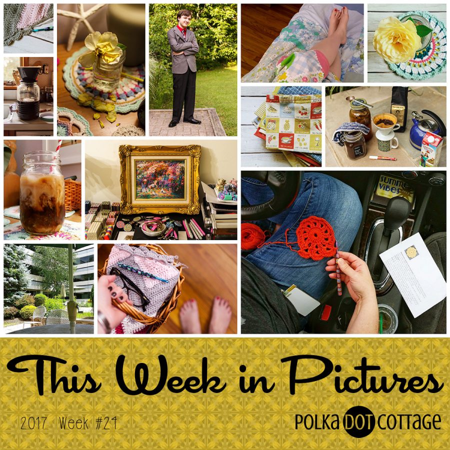 This Week in Pictures, Week 24, 2017