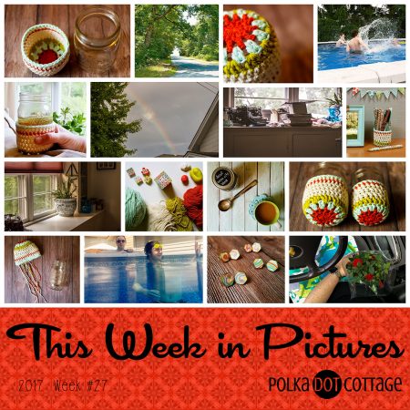 This Week in Pictures, Week 27, 2017