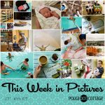 This Week in Pictures, Week 28, 2017