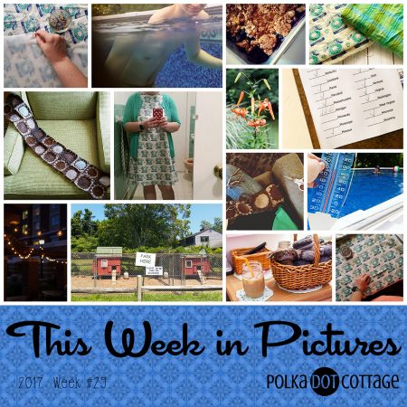 This Week in Pictures, Week 29, 2017