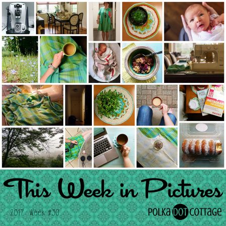 This Week in Pictures, Week 30, 2017