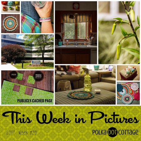 This Week in Pictures, Week 26, 2017