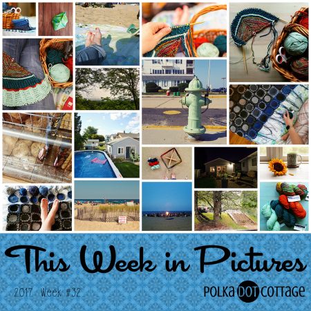This Week in Pictures, Week 32, 2017