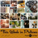 This Week in Pictures, Week 31, 2017