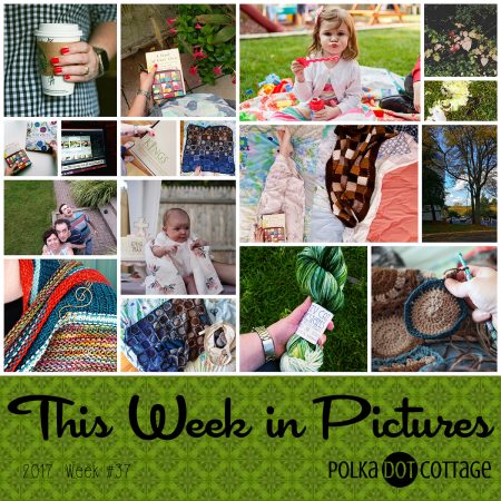This Week in Pictures, Week 37, 2017