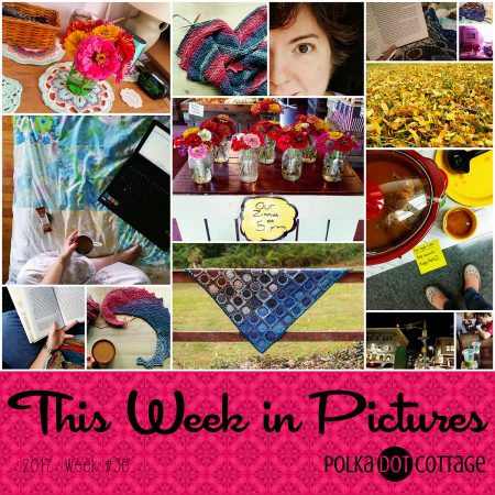 This Week in Pictures, Week 38, 2017