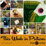 This Week in Pictures, Week 40, 2017
