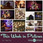 This Week in Pictures, Week 52, 2017