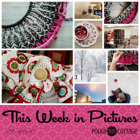 This Week in Pictures, Week 3, 2018